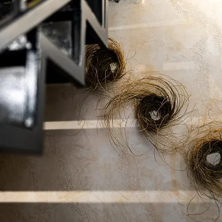 Nyaraló La Scunnuta *